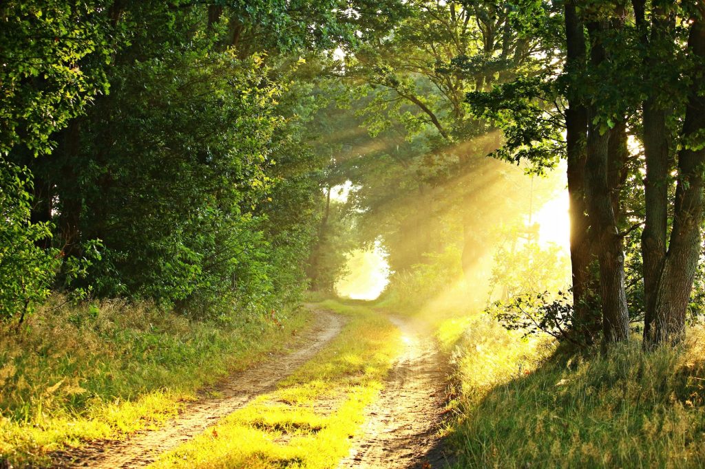 Give Forward Story – Alan Hilles